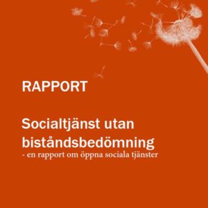 Socialtjänst utan biståndsbedömning - rapport