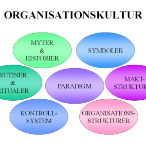 Organisationskultur